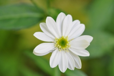 D85692t