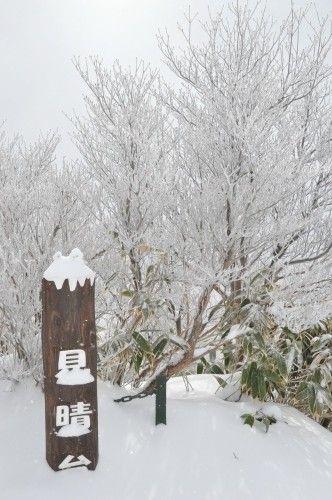 DSC_3884t