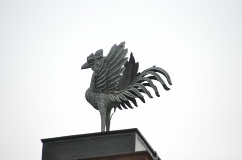 D69595t