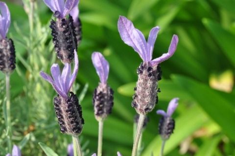 D84816t