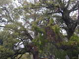 707b5b83.JPG