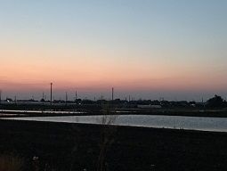 jpg1 1