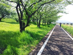 20150422_102241