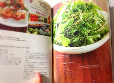 ケンタロウのうまいっ!おかず　野菜たっぷり肉ガッツリ　簡単おやつ ケンタロウのうまいっ!おかず 野菜たっぷり肉ガッツリ 簡単おやつ
