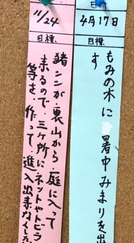 CYMERA_20190123_071337