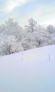 20091217083753