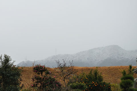 DSC_3274
