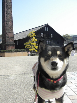 KICX0519
