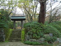 DSCN3065