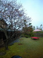 DSCN3067