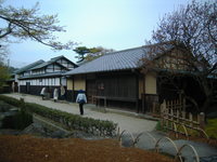 DSCN3066