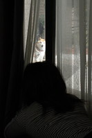 IMG_1498
