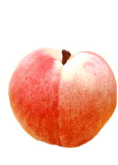 �إ��桼