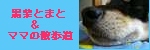 �ȤޤȤ����
