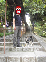 BlogPaint