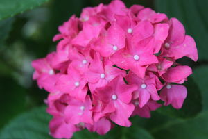IMG_3854