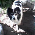 2003-1020-1154.jpg