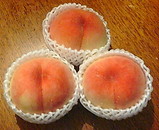 0f615f87.jpg
