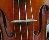229ce952.jpg