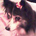 2003-1227-2045.jpg