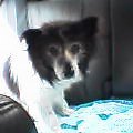 2005-0802-1329.jpg