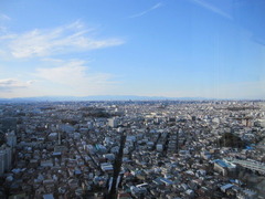 IMG_4355