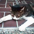 2005-0806-1817.jpg