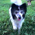 2005-0809-1830.jpg
