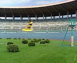 b110641b.jpg