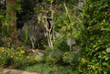 c79f44d0.jpg