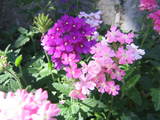 d05060b1.JPG