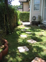 ea263650.JPG
