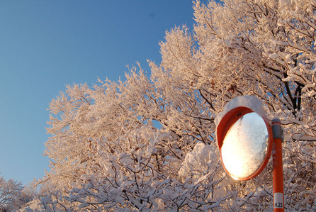 25blog