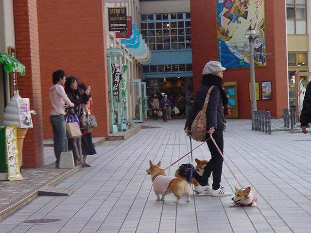 DSC00223