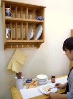 dish rack2