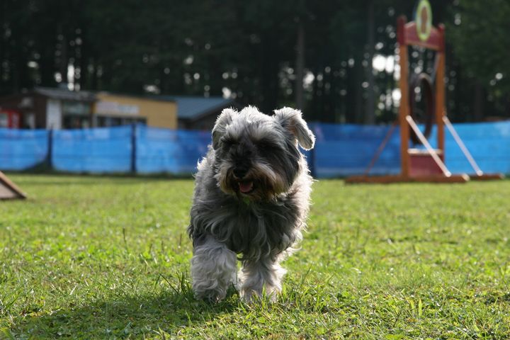 20061001momo