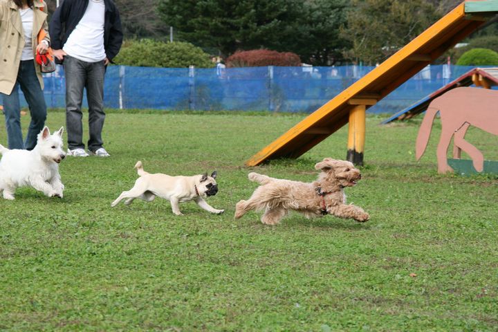 20061001momo