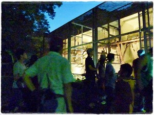 asazoo081503