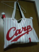 carpbag1