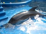 水族館9