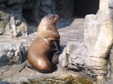 水族館6