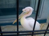 水族館7