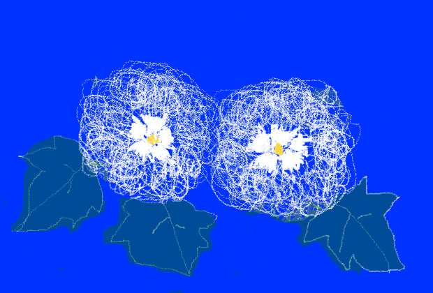 BlogPaint