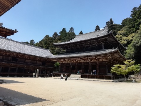 IMG_20190506_121816