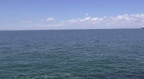 ws0000921