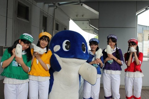 news_xlarge_syachi_dolphin_01