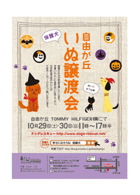 2011102930_poster