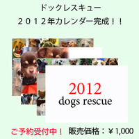 2012予告2