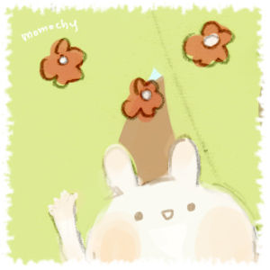 *桃の宝石箱*