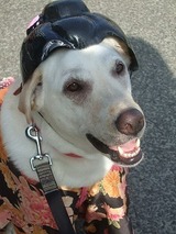 2009_0419hama0089